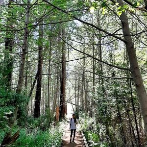 Meet your Posher, Andie